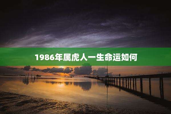 1986年属虎人一生命运如何