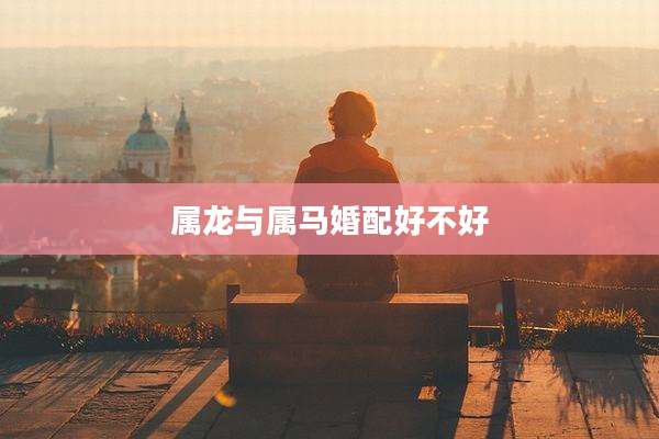 属龙与属马婚配好不好