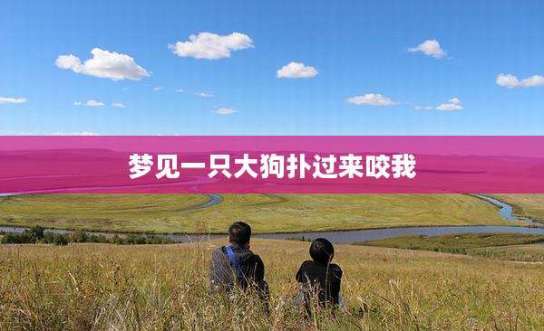 梦见一只大狗扑过来咬我