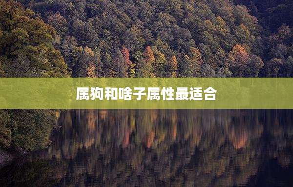 属狗和啥子属性最适合
