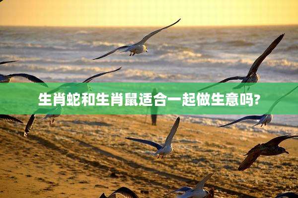 生肖蛇和生肖鼠适合一起做生意吗?
