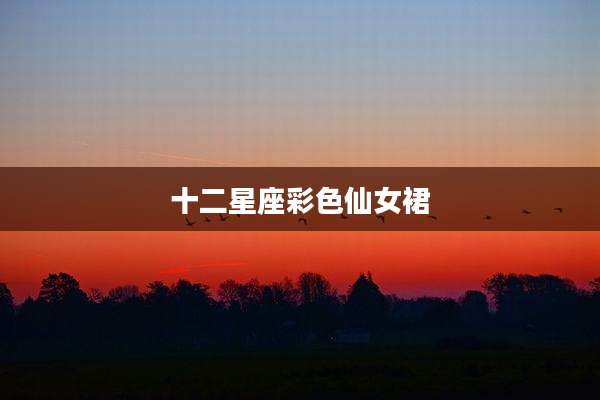 十二星座彩色仙女裙