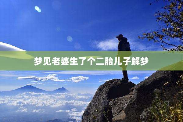 梦见老婆生了个二胎儿子解梦