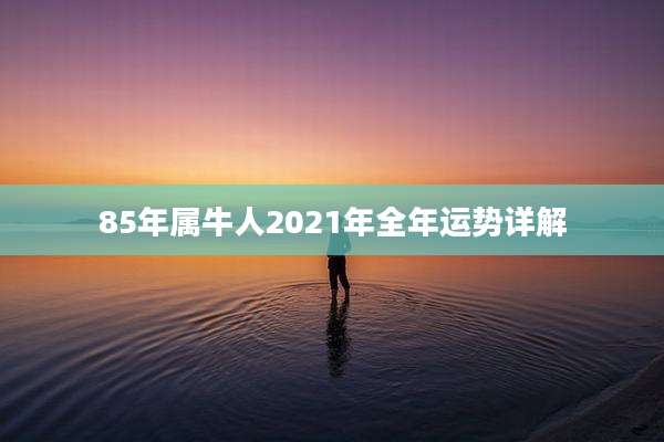 85年属牛人2021年全年运势详解