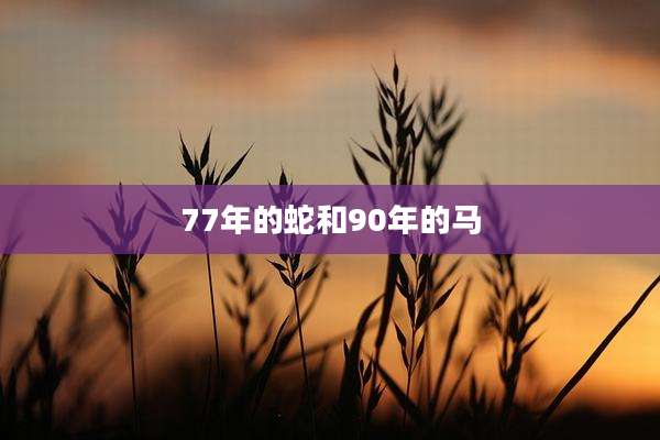 77年的蛇和90年的马