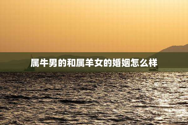 属牛男的和属羊女的婚姻怎么样
