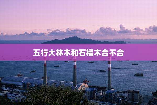五行大林木和石榴木合不合