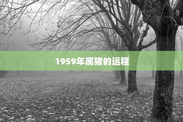 1959年属猪的运程