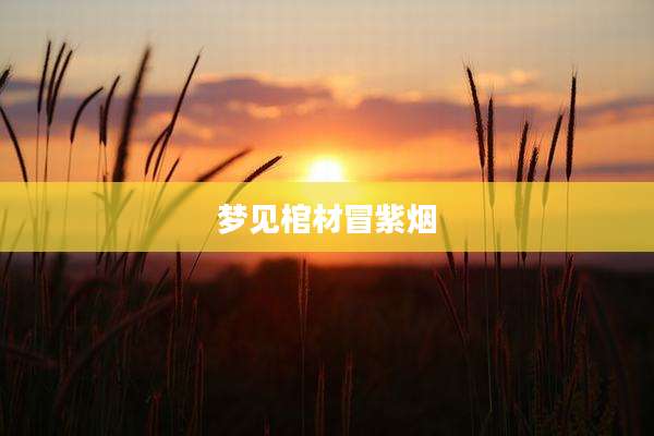 梦见棺材冒紫烟