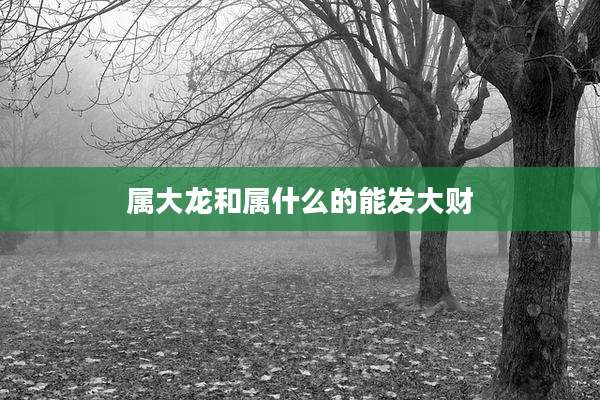 属大龙和属什么的能发大财
