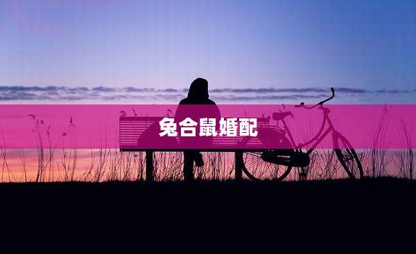 兔合鼠婚配