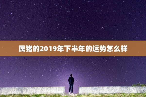 属猪的2019年下半年的运势怎么样