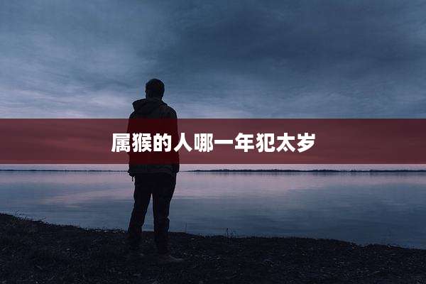 属猴的人哪一年犯太岁