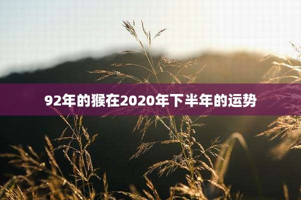 92年的猴在2020年下半年的运势