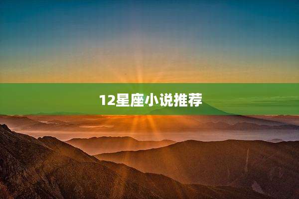 12星座小说推荐