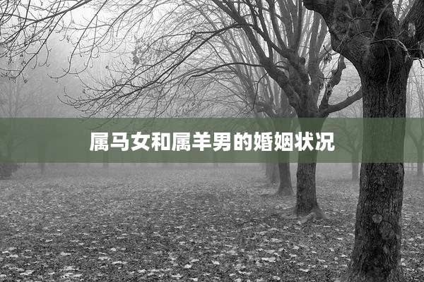 属马女和属羊男的婚姻状况