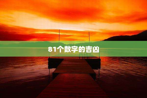 81个数字的吉凶