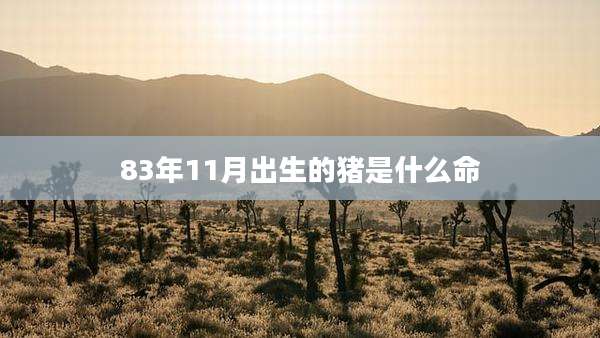 83年11月出生的猪是什么命