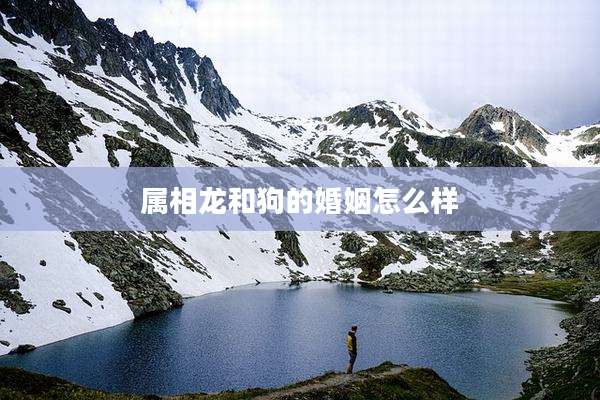 属相龙和狗的婚姻怎么样