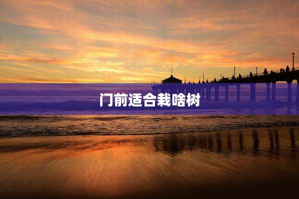 门前适合栽啥树