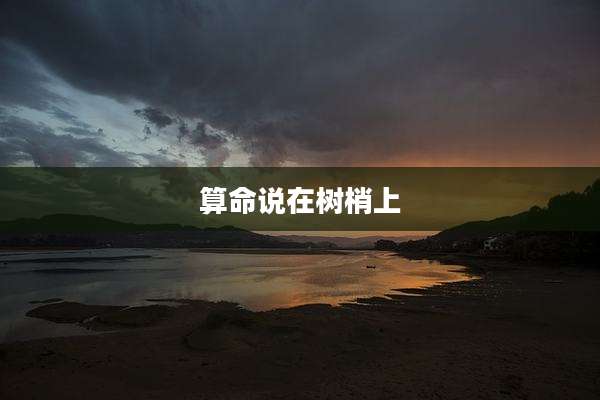 算命说在树梢上