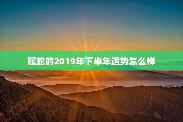 属蛇的2019年下半年运势怎么样