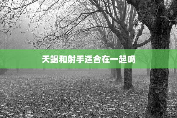 天蝎和射手适合在一起吗
