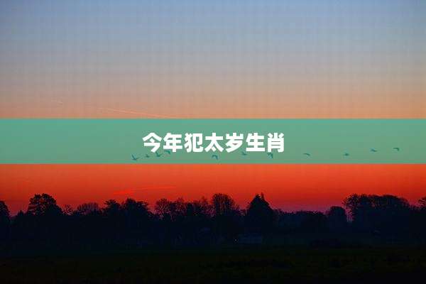 今年犯太岁生肖