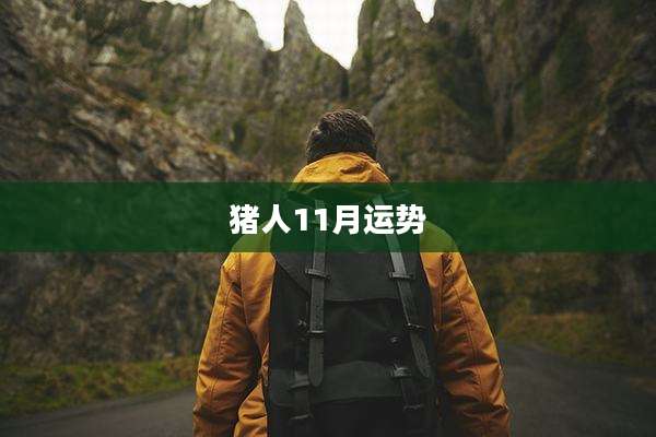 猪人11月运势