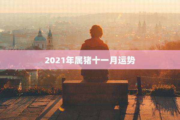 2021年属猪十一月运势
