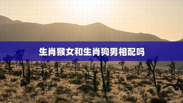 生肖猴女和生肖狗男相配吗