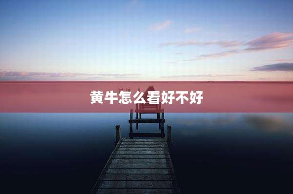 黄牛怎么看好不好