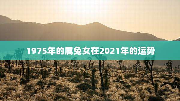 1975年的属兔女在2021年的运势