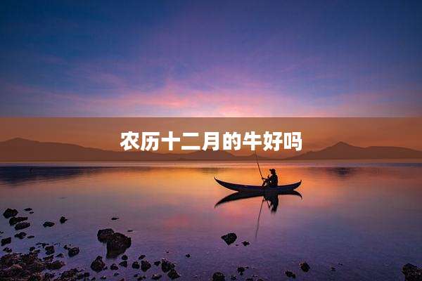 农历十二月的牛好吗