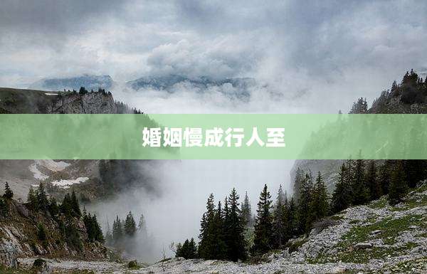 婚姻慢成行人至