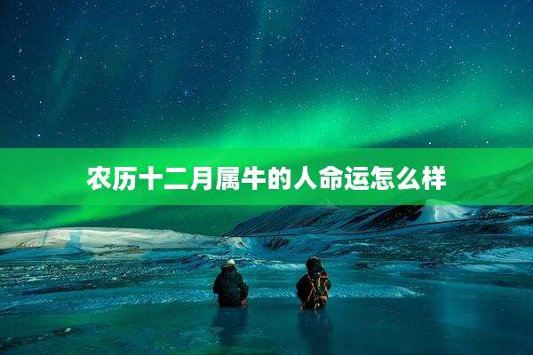 农历十二月属牛的人命运怎么样