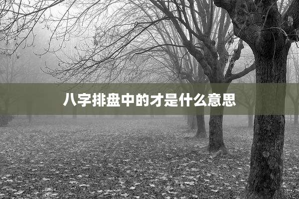 八字排盘中的才是什么意思