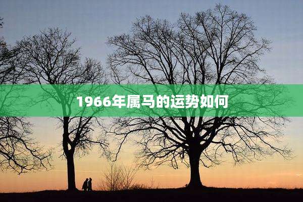 1966年属马的运势如何