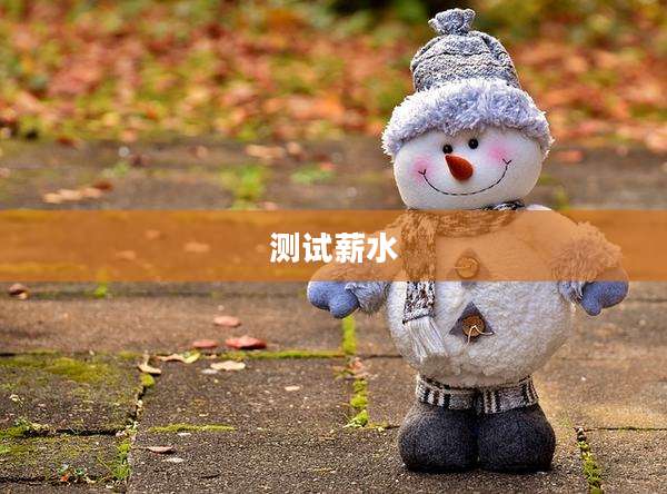测试薪水