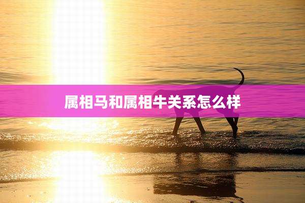 属相马和属相牛关系怎么样