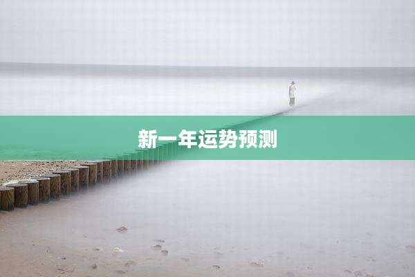 新一年运势预测