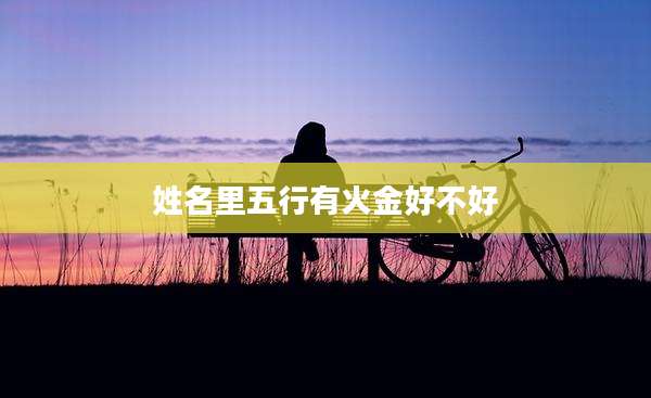 姓名里五行有火金好不好