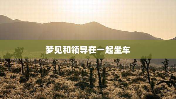 梦见和领导在一起坐车
