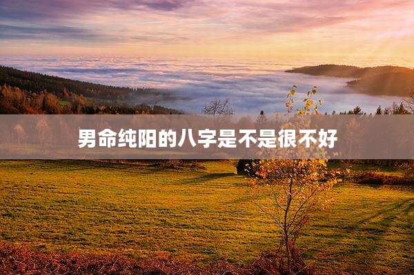 男命纯阳的八字是不是很不好