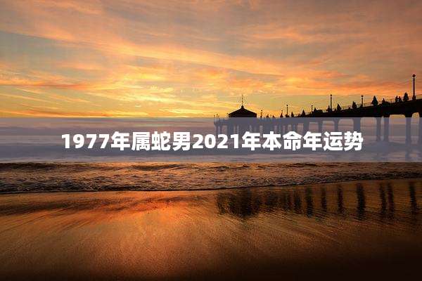 1977年属蛇男2021年本命年运势