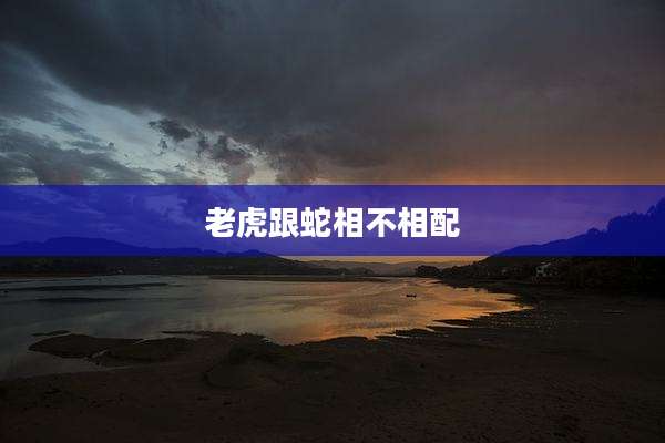 老虎跟蛇相不相配