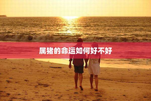 属猪的命运如何好不好