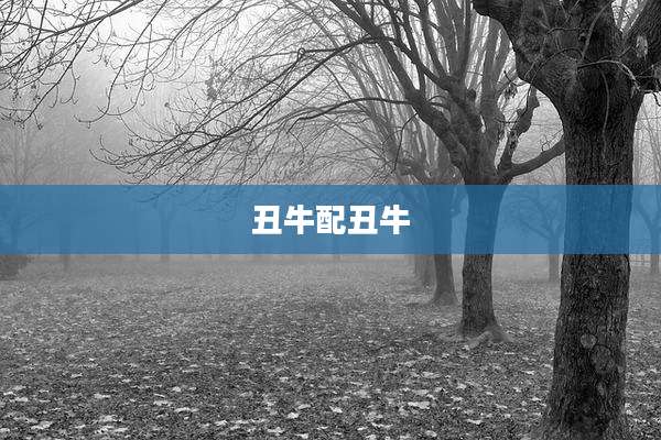 丑牛配丑牛