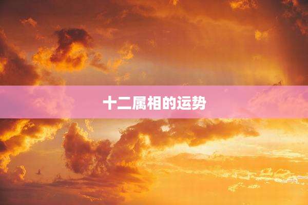十二属相的运势