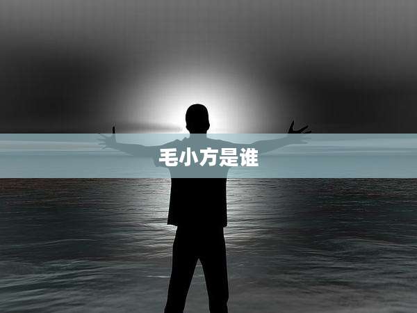 毛小方是谁